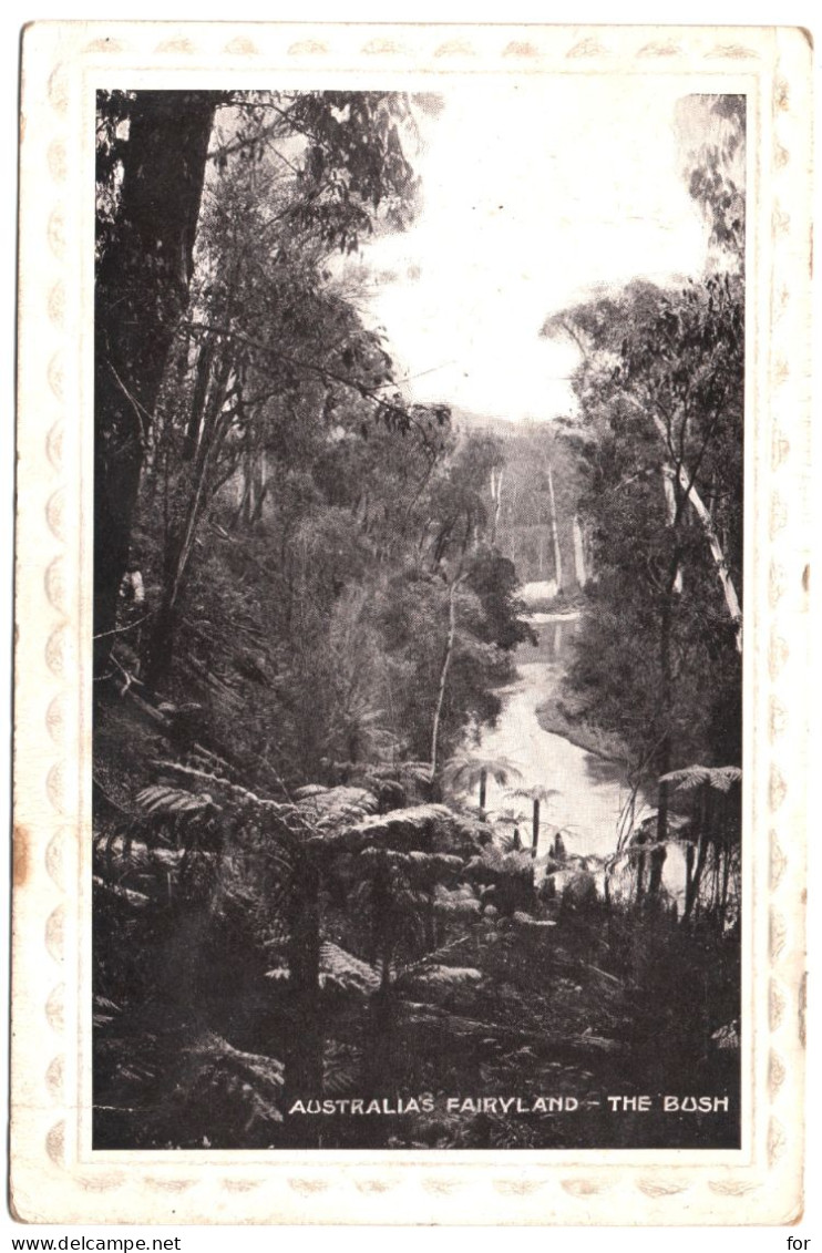 Australie : Queensland - Westem Downs : Australia's - FAIRYLAND : The Bush : Gaufrée - Embossed Border : 1910 - Other & Unclassified