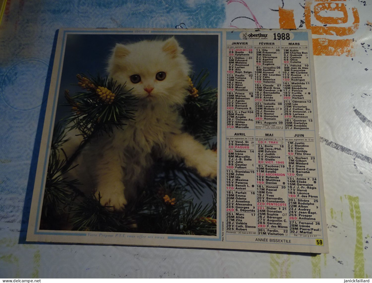 Calendrier Almanach Des Ptt 1988 Chaton - Chiot - Formato Grande : 1981-90