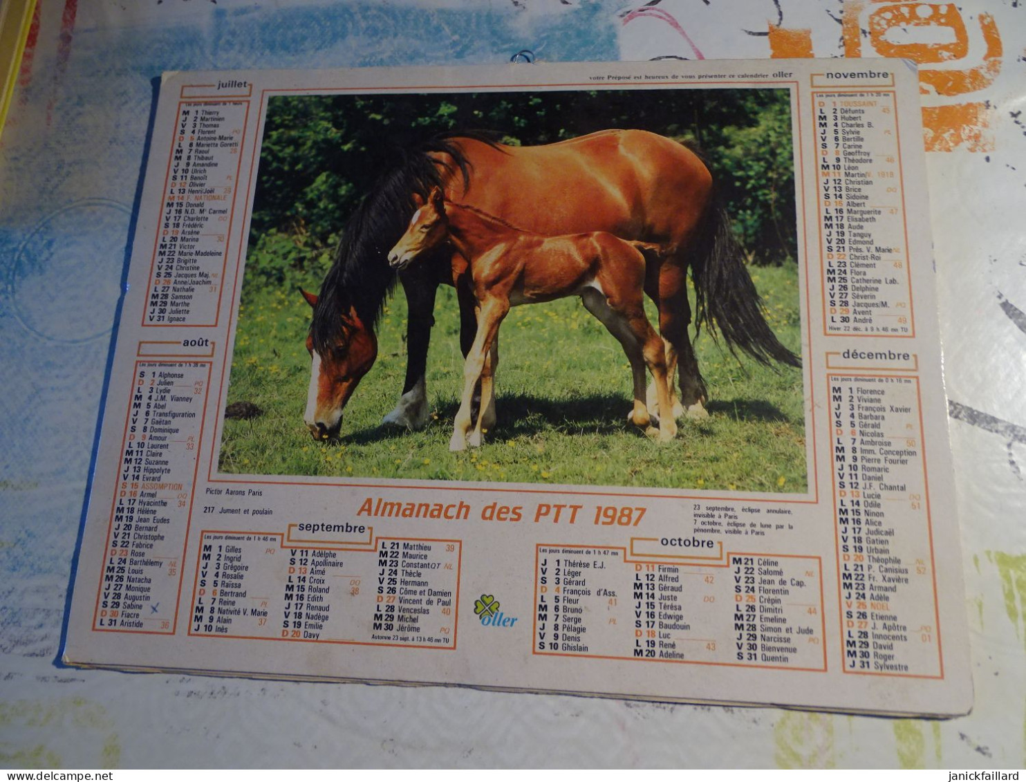 Calendrier Almanach Des Ptt 1987 Berger Allemand - Jument Poulain - Grand Format : 1981-90