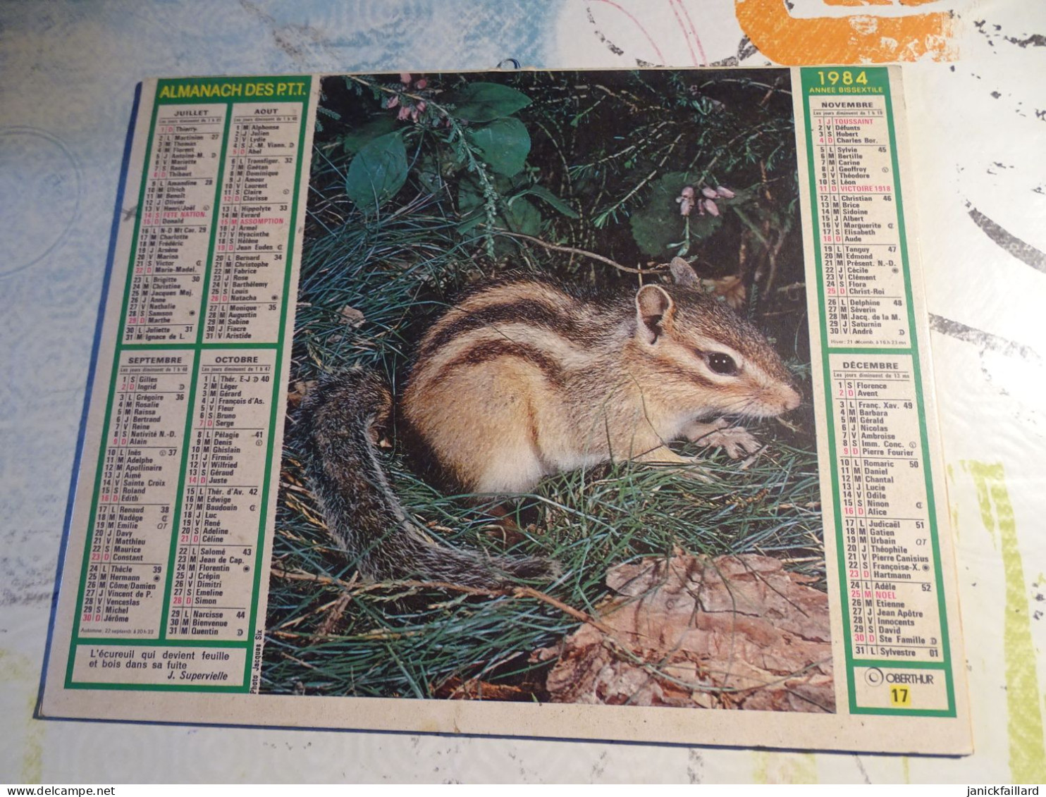 Calendrier Almanach Des Ptt 1984 - écureuil Faisan - Formato Grande : 1981-90