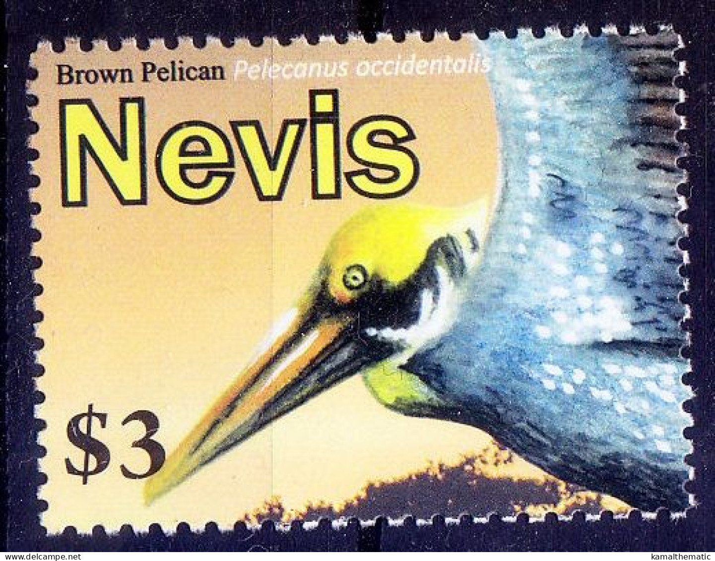 Nevis 2010 MNH, Brown Pelican, Water Birds - Pelikanen