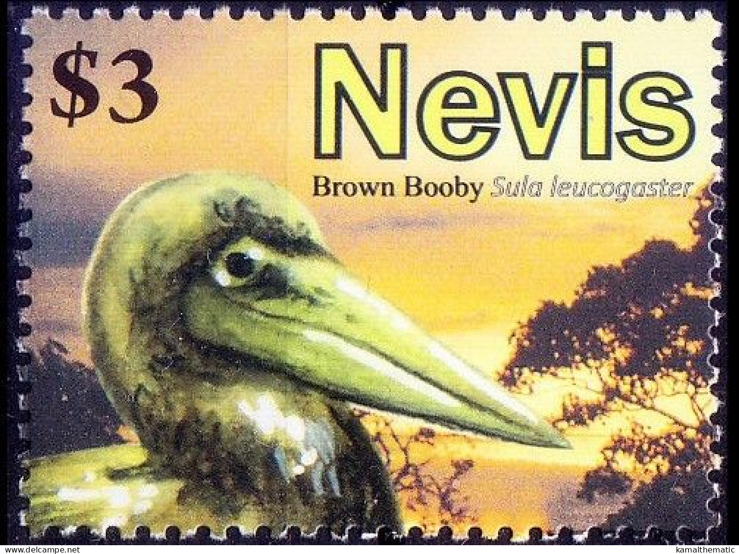 Nevis 2010 MNH, Brown Booby, Water Birds - Albatros