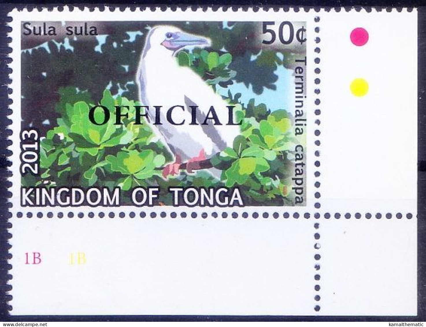 Red-footed Booby, Sea Birds, Tonga 2013 MNH Overprint, Corner - Albatrosse & Sturmvögel