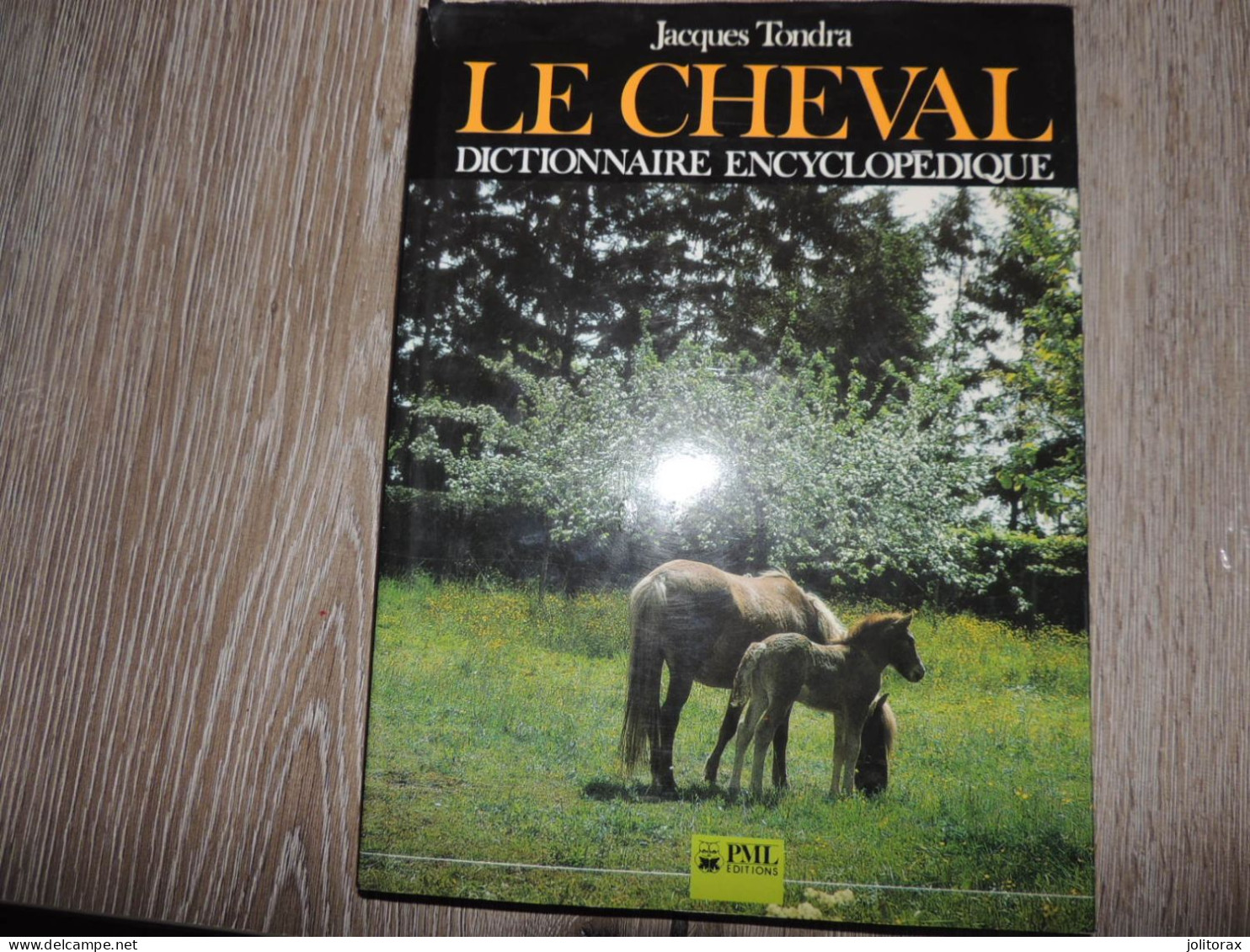Le Cheval Dictionnaire Encyclopédique - Encyclopédies