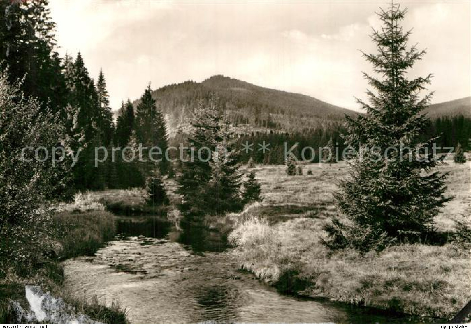 72983922 Schierke Harz Landschaftspanorama Mit Der Bode Blick Zum Koenigsberg Sc - Schierke