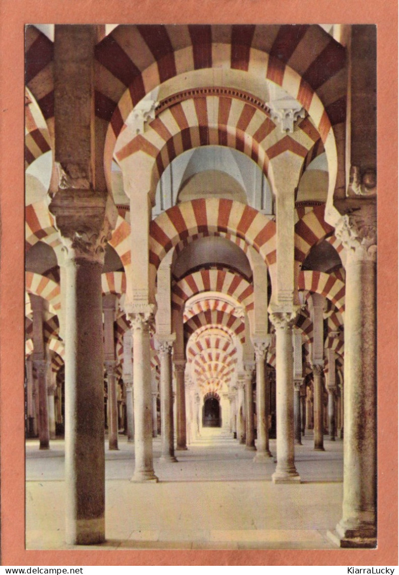 CORDOBA - ANDALUCIA - MEZQUITA MOSQUEE - LABERINTO DE COLUMNAS LABYRINTHE DE COLONNES - NEUVE - Islam