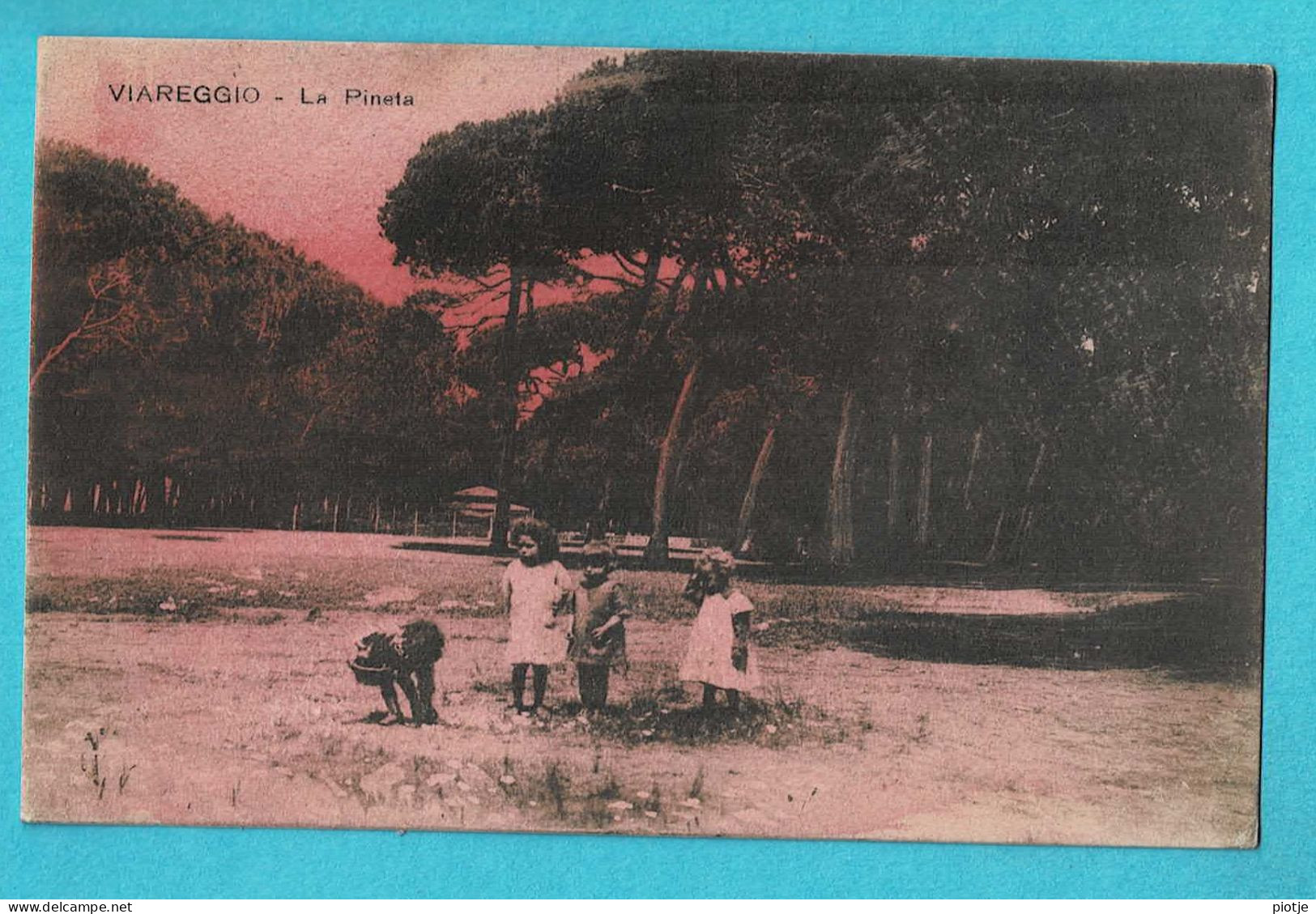 * Viareggio (Toscane - Italia) * (Ediz P. Giusti E C. Firenze 5548) La Pineta, Enfants, Animée, Tramonto, Old, Rare - Viareggio