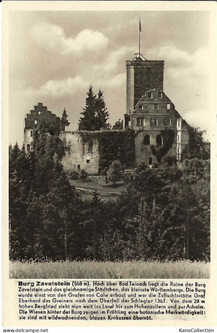 Burg Zavelstein, Nicht Gelaufen - Bad Teinach