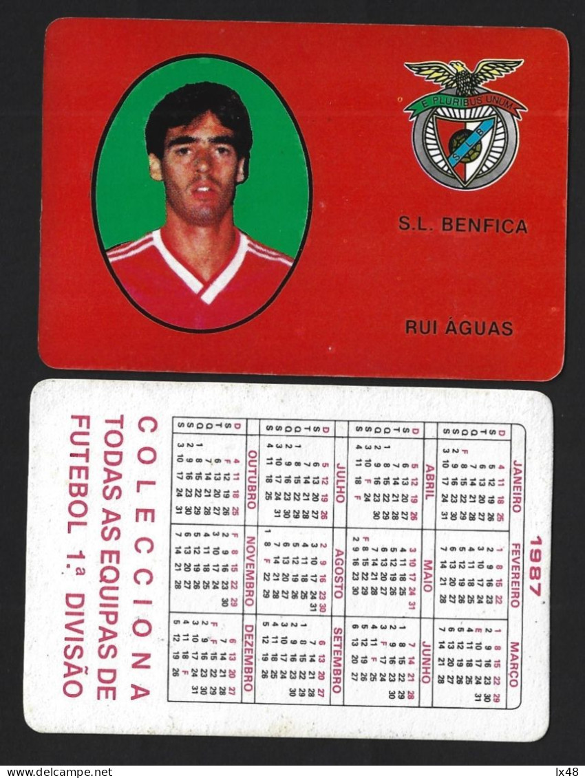 Calendar With Benfica Football Player Rui Águas. Football Champion Of The Benfica Team In The 1986/7 Season. Soccer. - Formato Grande : 1981-90