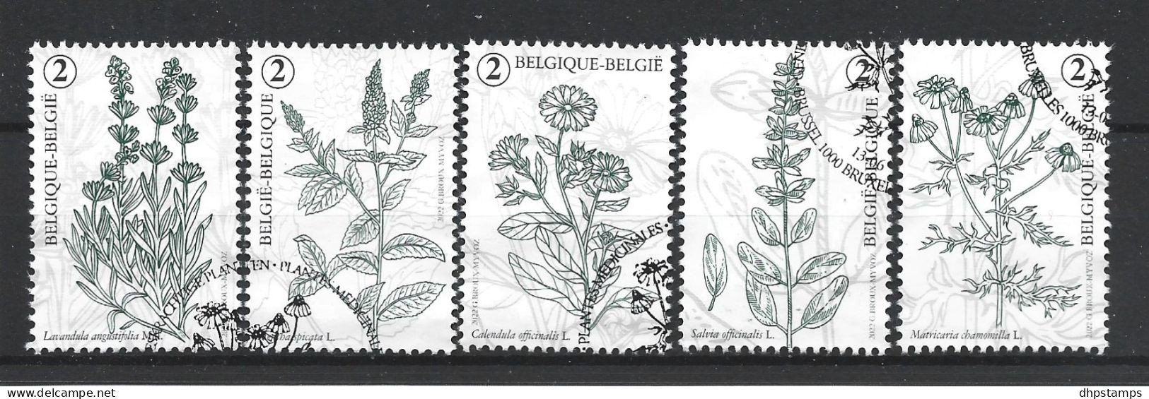 Belgie 2022 Flora Y.T. 5075/5079  (0) - Used Stamps