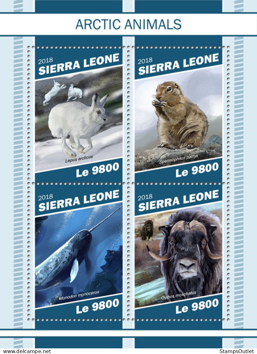  SIERRA LEONE  2018 MNH  Arctic Animals  Michel Code: 10549-10552. Scott Code: 5101. Yvert&Tellier Code: 8546-8549 - Sierra Leone (1961-...)