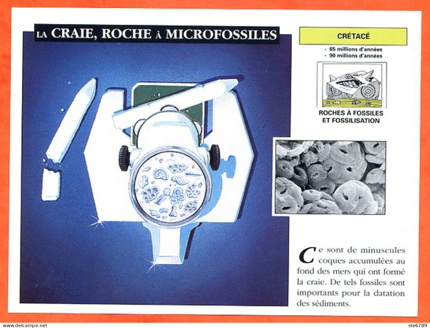 LA CRAIE ROCHE A MICROFOSSILES Histoire Préhistoire Fiche Illustree - Geschiedenis