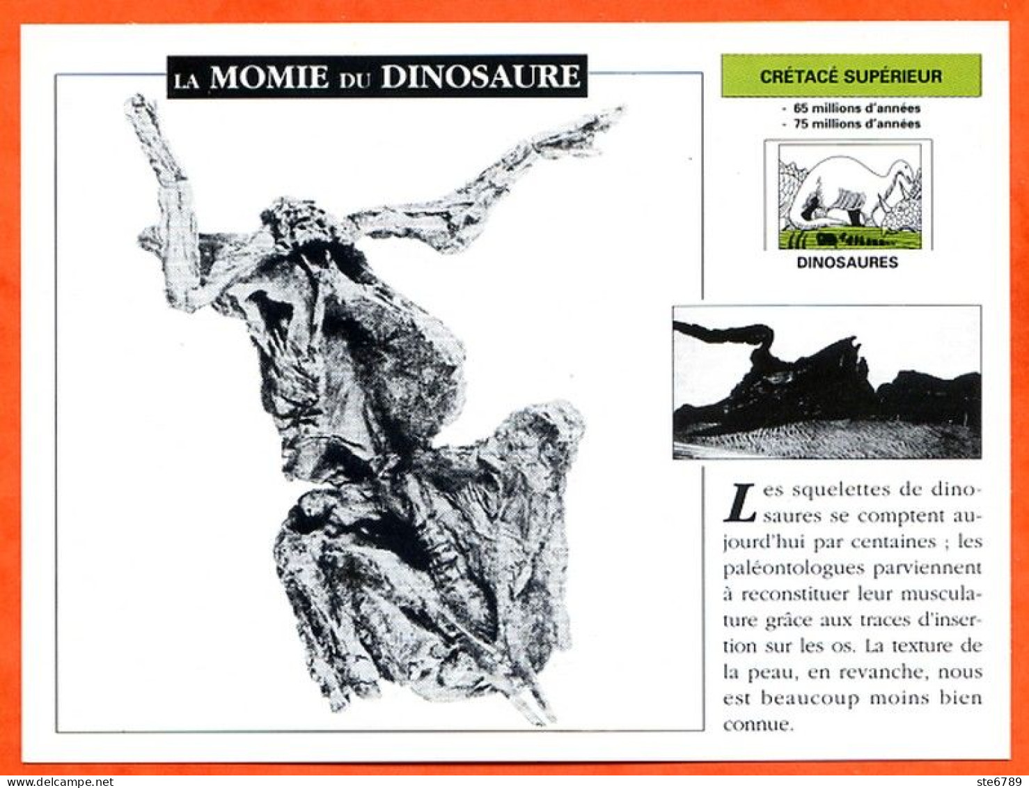 LA MOMIE DU DINOSAURE  Histoire Préhistoire Fiche Illustree - Histoire