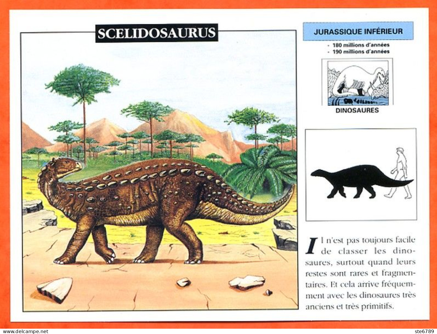 SCELIDOSAURUS  Dinosaure Histoire Préhistoire Fiche Illustree - Storia
