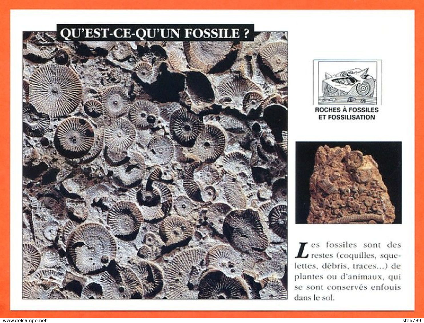 QU'EST CE QU'UN FOSSILE  Histoire Préhistoire Fiche Illustree - Histoire