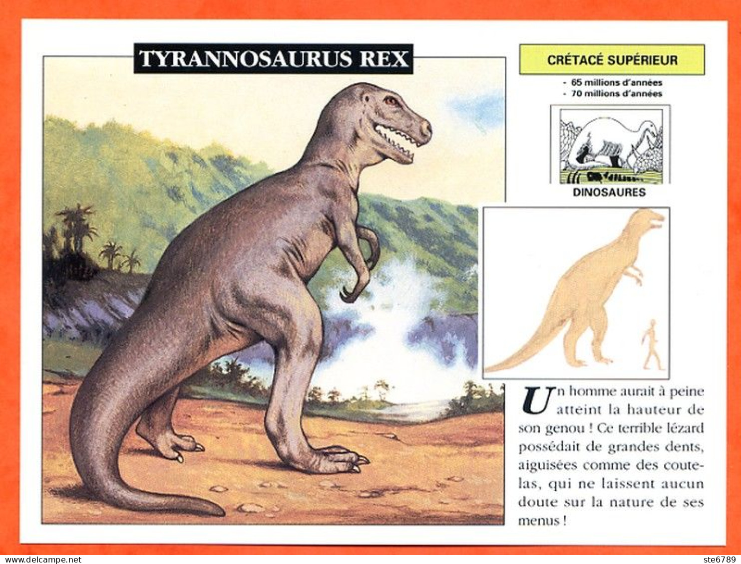 TYRANNOSAURUS REX  Dinosaure Histoire Préhistoire Fiche Illustree - Histoire