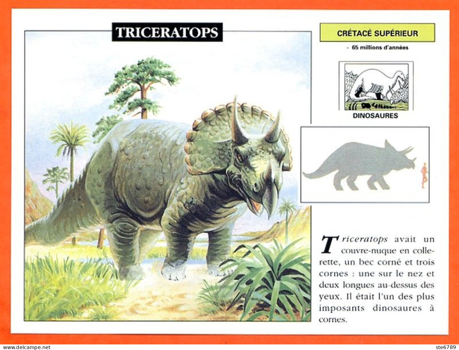 TRICERATOPS  Dinosaure Histoire Préhistoire Fiche Illustree - Histoire