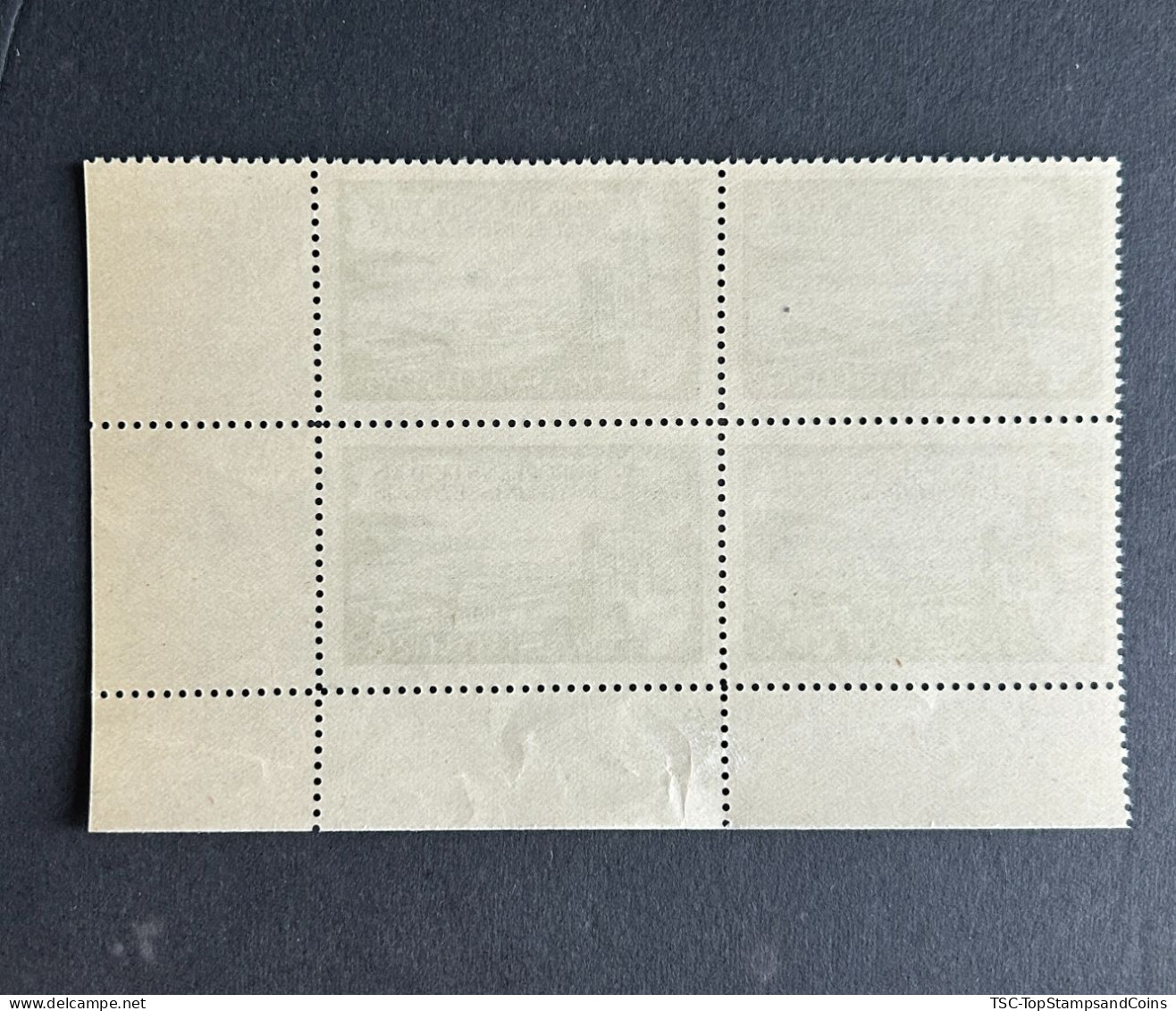 FRAZV050MNH - Strasbourg - Européens De Tous Pays Unisez-vous - Block Of 4 MNH Label Stamps - France - 1960 - Tourism (Labels)