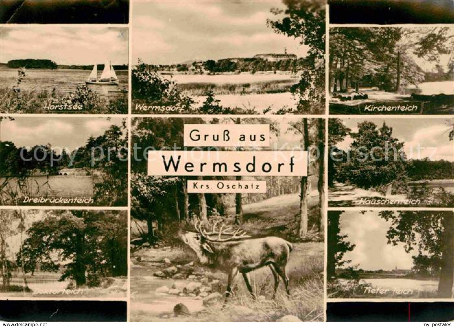 72704160 Wermsdorf Horstsee Wermsdorf Kirchenteich Dreibrueckenteich Wermsdorf - Wermsdorf