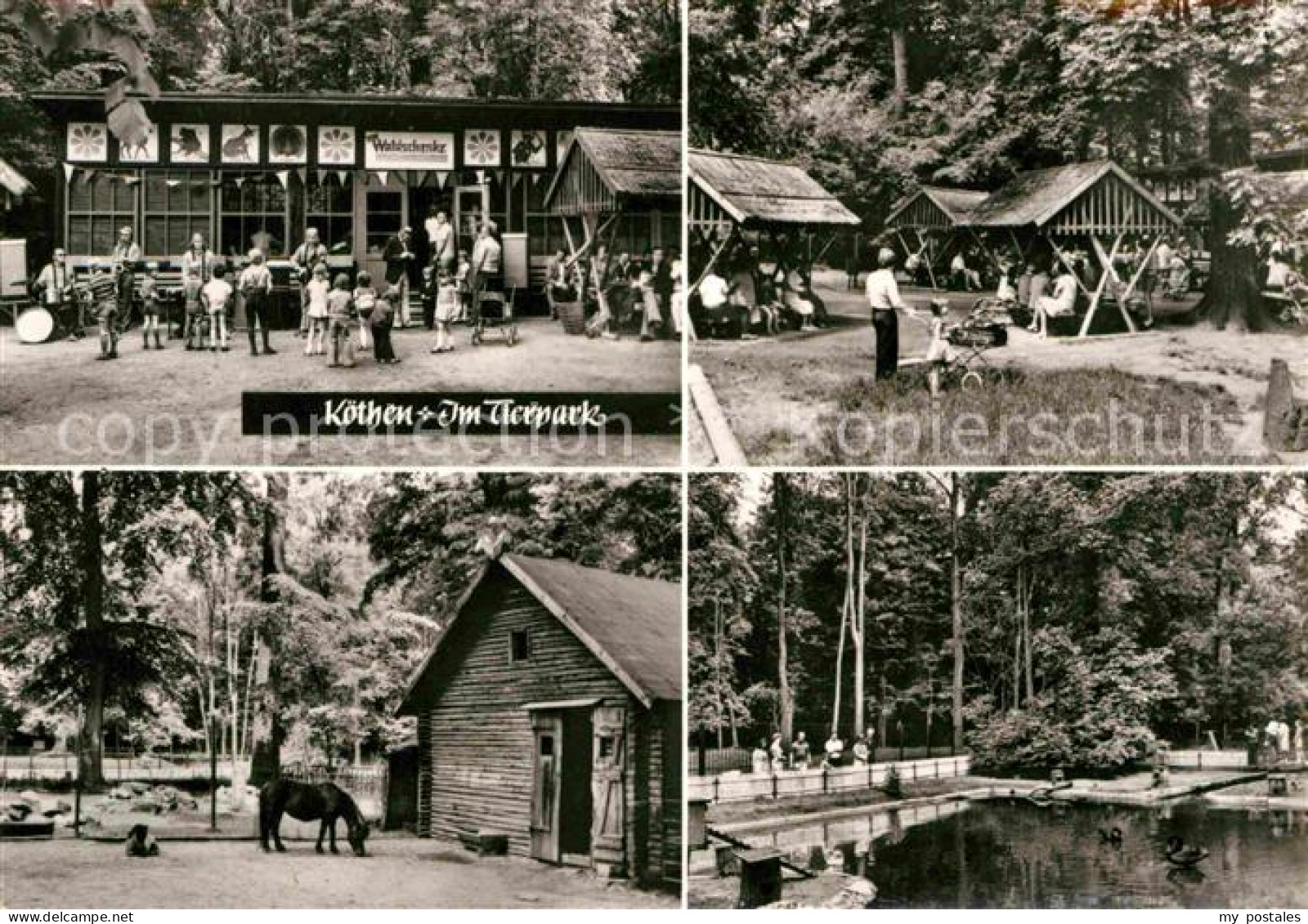 72703669 Koethen Anhalt Tierpark Coethen - Köthen (Anhalt)