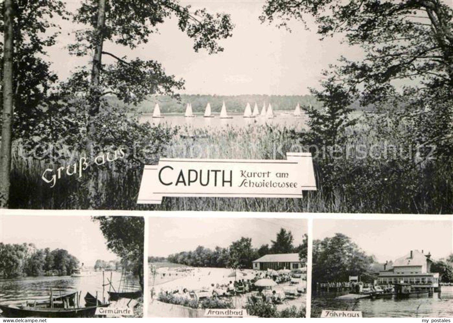 72703628 Caputh Segelregatta Gemuende Strandbad Faehrhaus Schwielowsee - Ferch