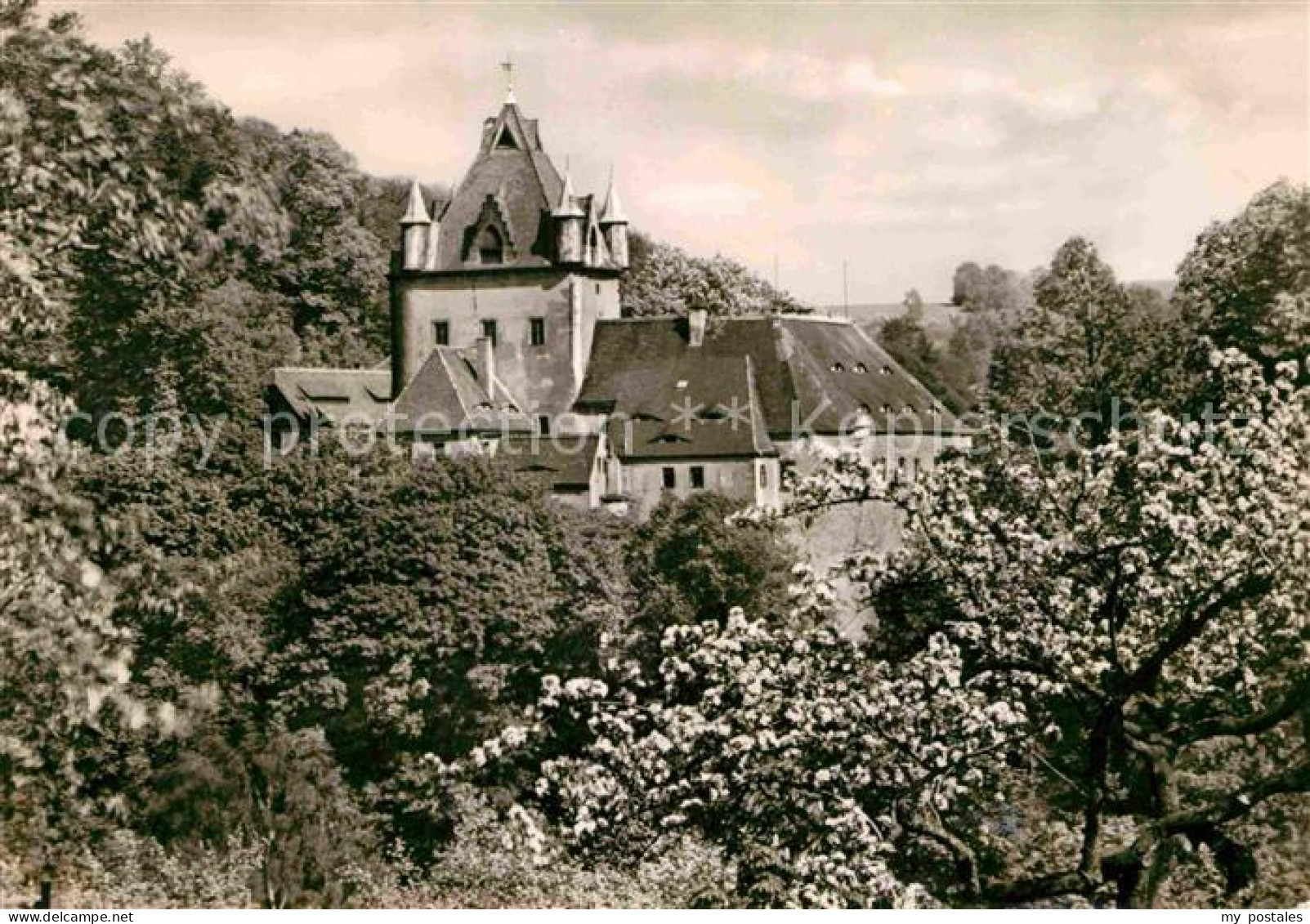 72703400 Liebstadt Schloss Kuckuckstein Liebstadt - Liebstadt