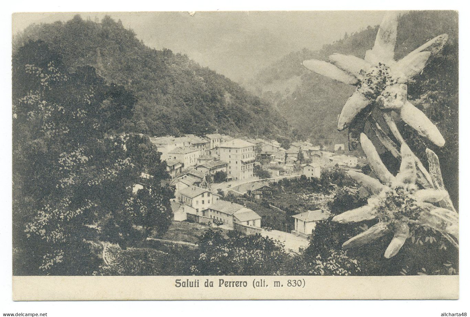 D6235] SALUTI DA PERRERO Torino VEDUTA Stelle Alpine Edelweiss Viaggiata 1930 - Tarjetas Panorámicas