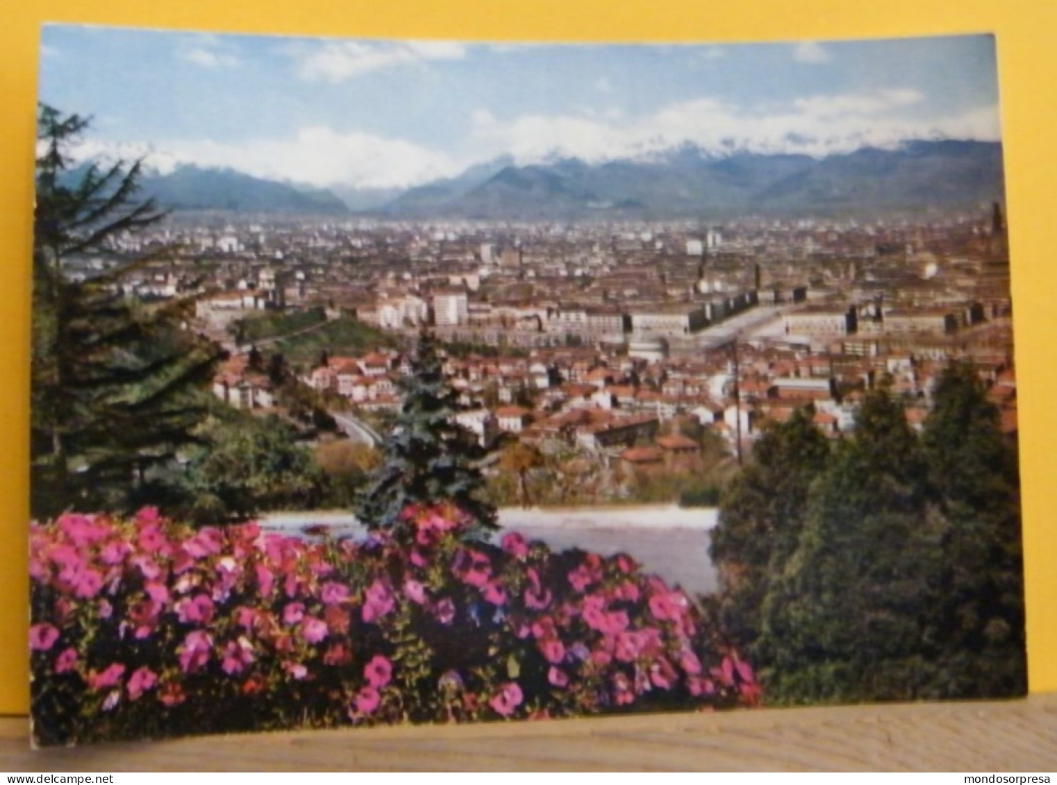 (T1) TORINO - PANORAMA  - VIAGGIATA - Mehransichten, Panoramakarten