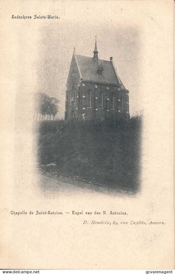 AUDENHOVE SAINTE MARIE    CHAPELLE DE SAINT ANTOINE    2 SCANS - Zottegem