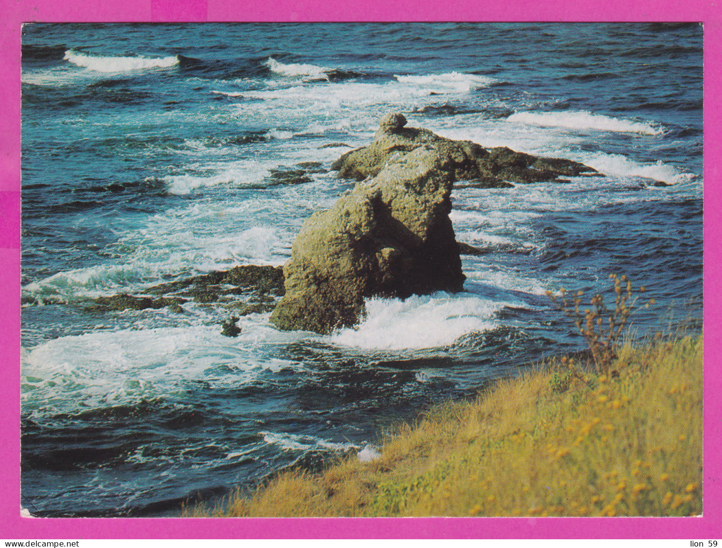 309024 / Bulgaria - Michurin (Tsarevo Town)( Burgas Region ) - Camping Near "Nestinarka" Black Sea Rock 1979 PC Bulgarie - Bulgarie