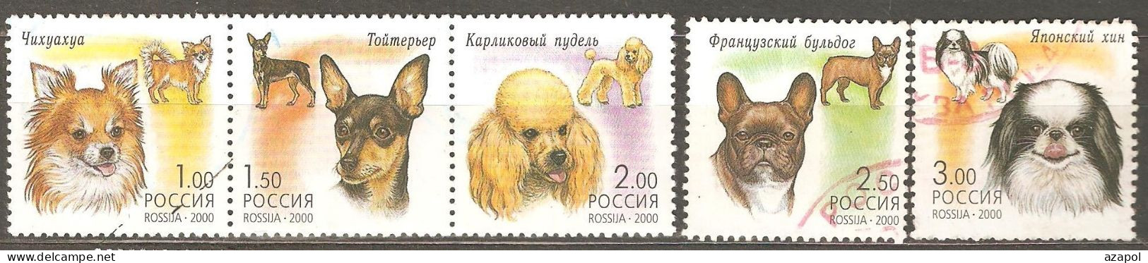 Russia: Full Set Of 5 Used Stamps, Decorative Dogs, 2000, Mi#837-41 - Used Stamps