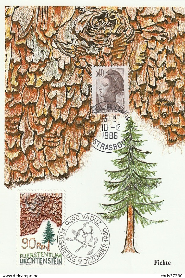 BCT - Cartes Max FR-LIECHTENSTEIN 1986 - Altri & Non Classificati