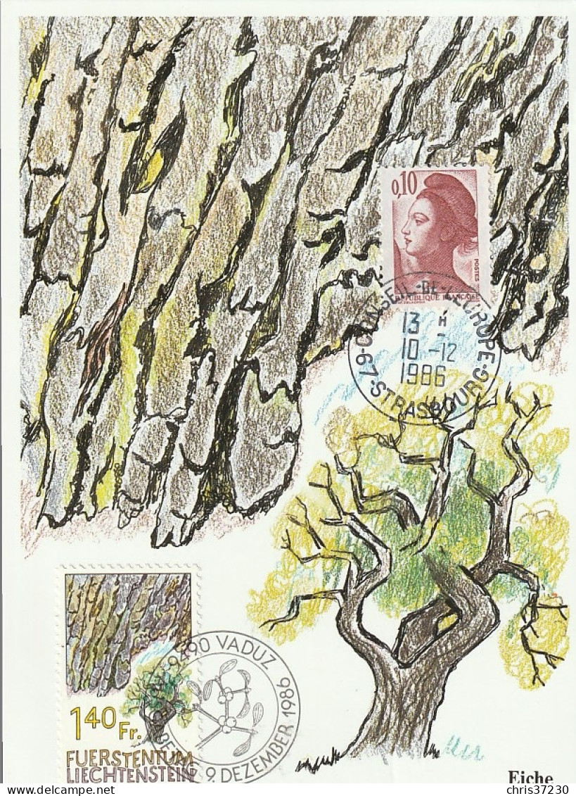 BCT - Cartes Max FR-LIECHTENSTEIN 1986 - Altri & Non Classificati