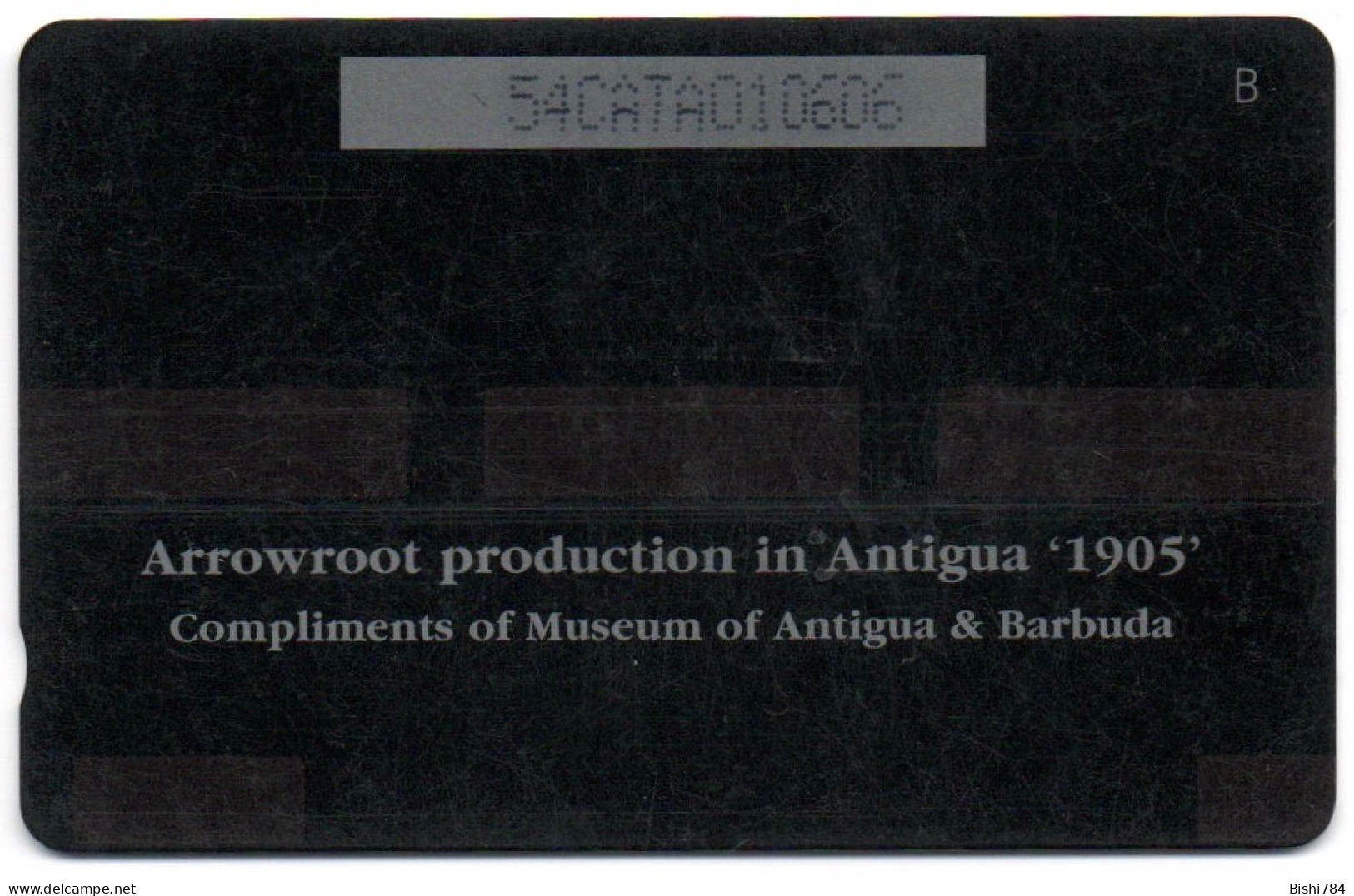Antigua & Barbuda - Arrowroot Production In Antigua '1905' - 54CATA - Antigua En Barbuda
