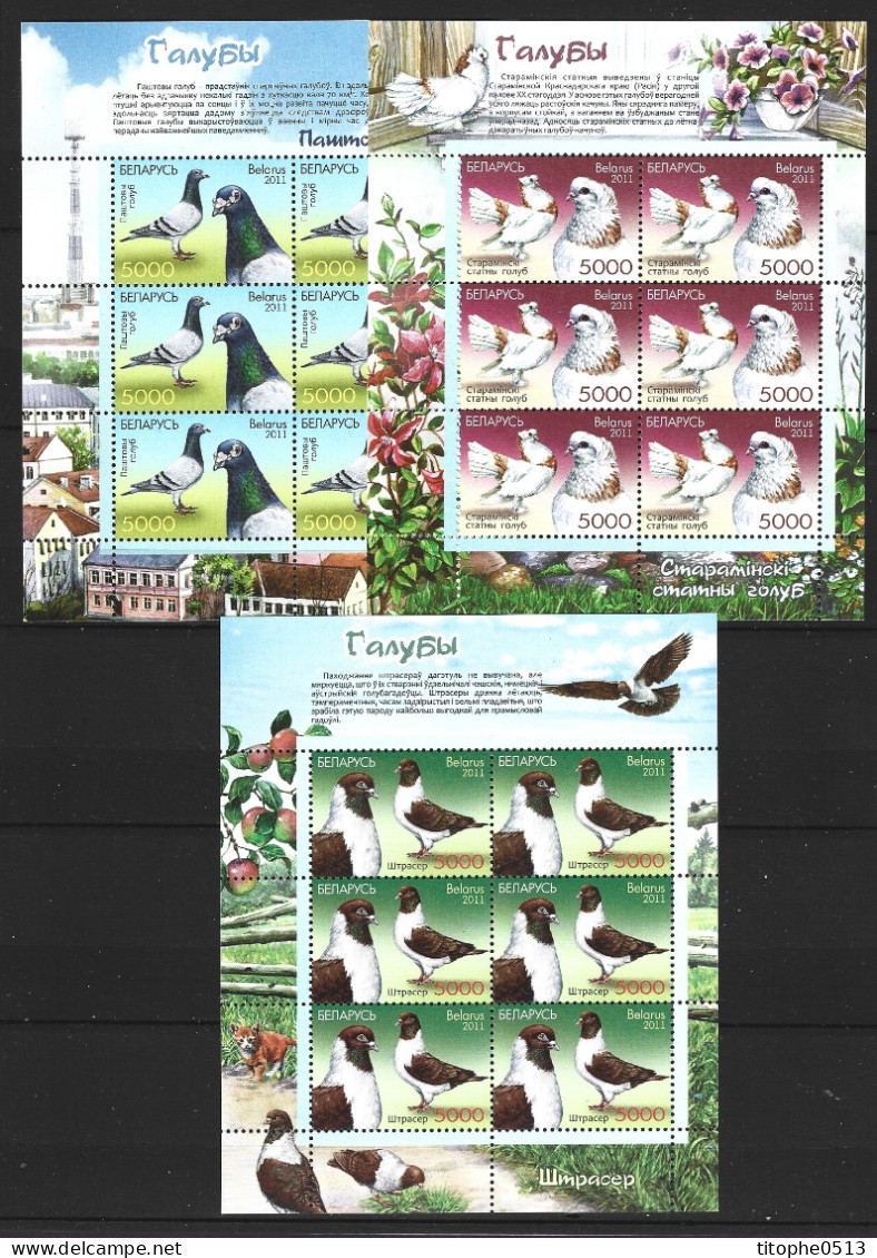 BIELORUSSIE. 3 PF N°755-7 De 2011. Pigeons. - Palomas, Tórtolas