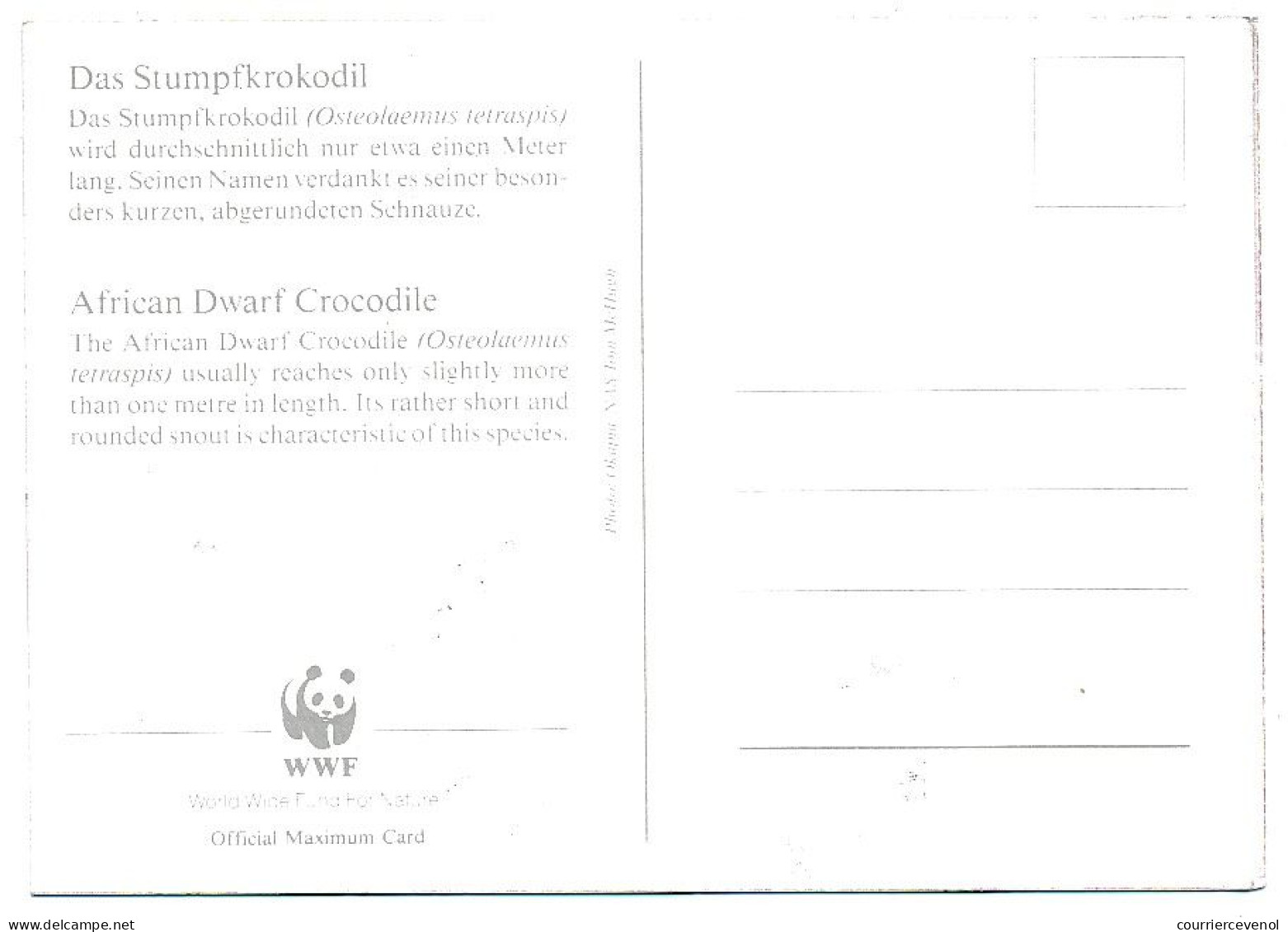 CONGO - Carte Maximum - 125F Poste Aérienne - African Dwarf Crocodile - Premier Jour 1987 - Other & Unclassified