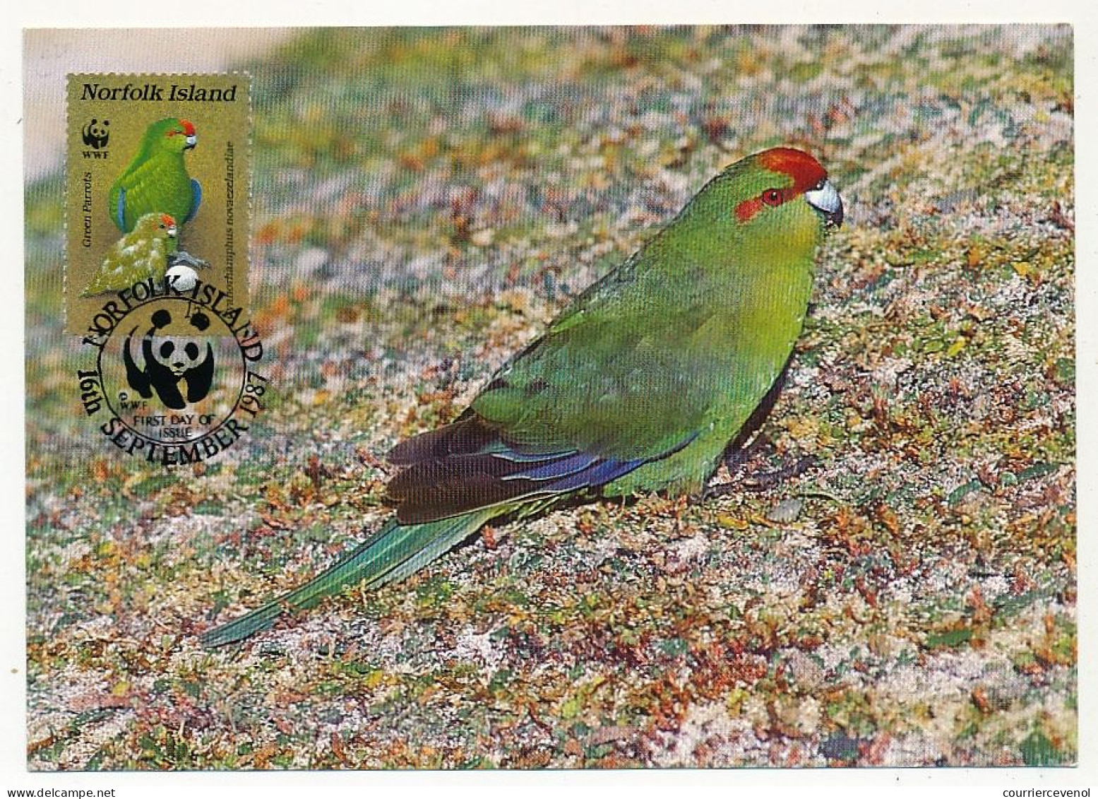 NORFOLK - Carte Maximum - Red-fronted Parrot - Premier Jour - 16 Sept 1987 - Isola Norfolk