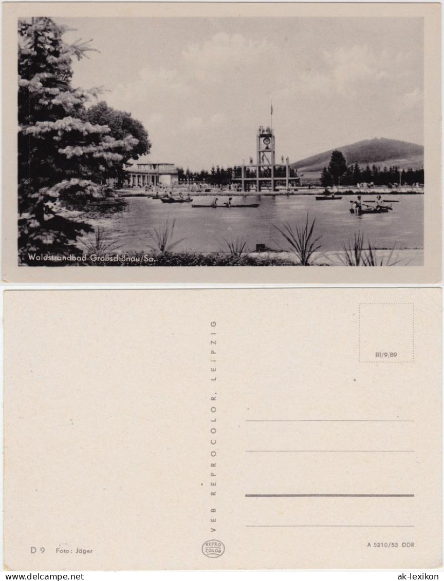 Ansichtskarte Großschönau (Sachsen) Waldstrandbad 1953 - Grossschoenau (Sachsen)