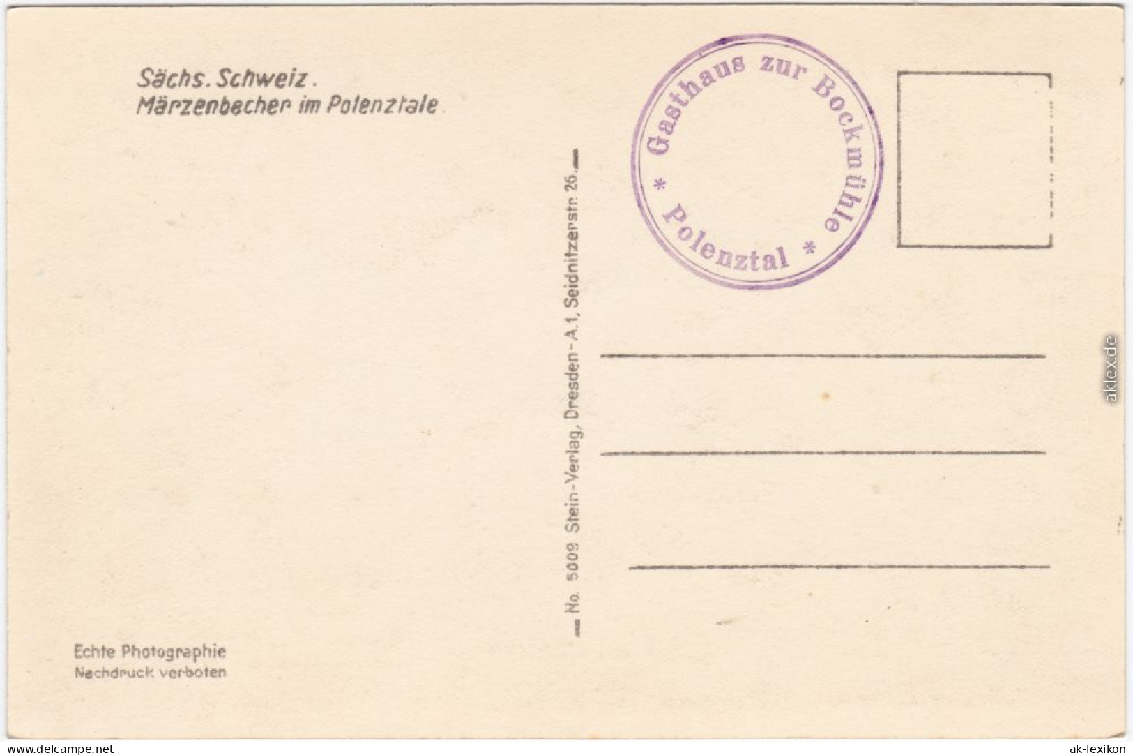 Hohnstein (Sächs. Schweiz) Märzenbecher Im Polenztal - Sächsische Schweiz  1932 - Hohnstein (Sächs. Schweiz)