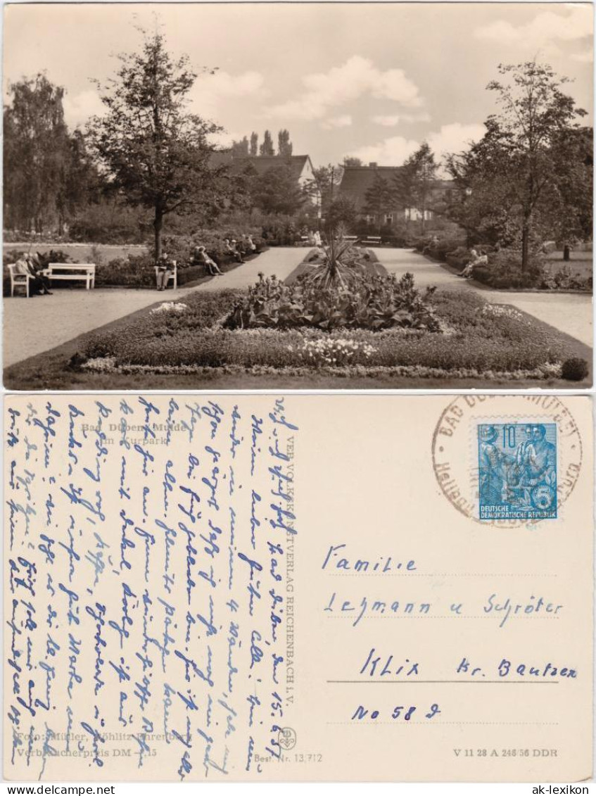 Ansichtskarte Bad Düben Im Kurpark 1956 - Bad Düben