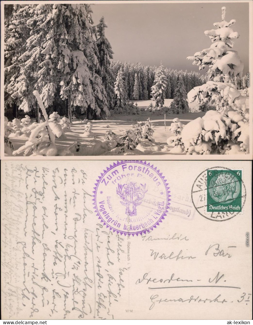 Vogelsgrün Auerbach (Vogtland) Winterlandschaft Beim Forsthaus Fotokarte 1934 - Auerbach (Vogtland)