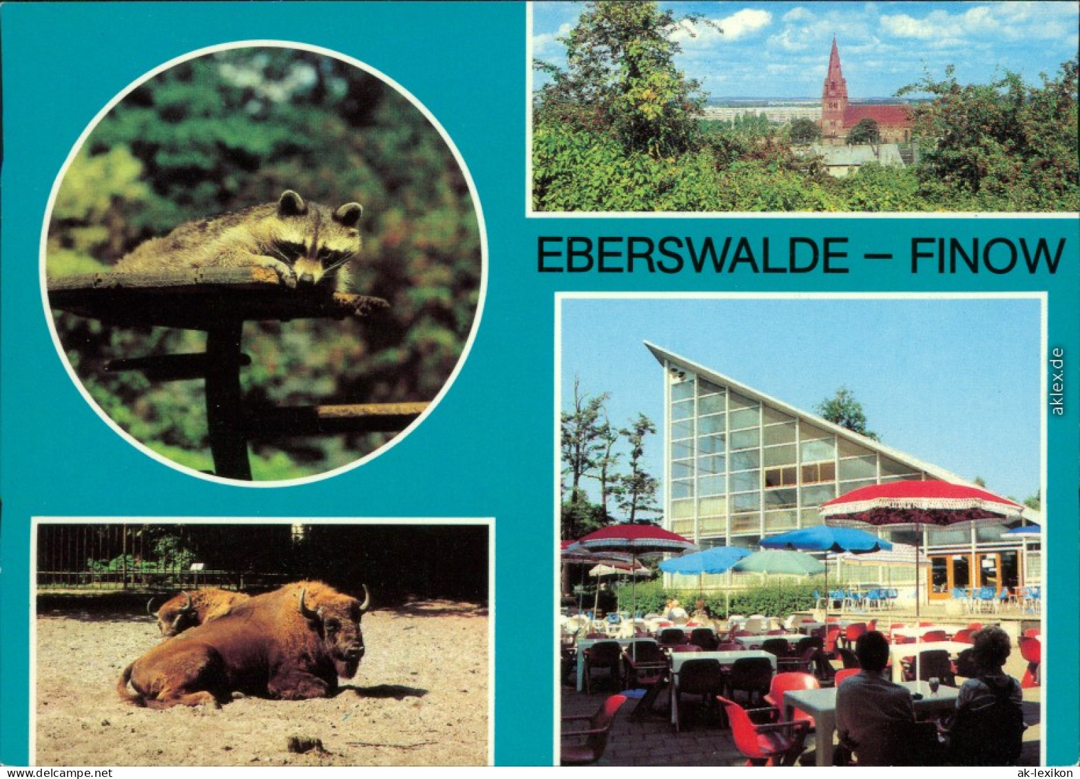 Finow Eberswalde Im Tierpark Ansichtskarte 1981 - Eberswalde