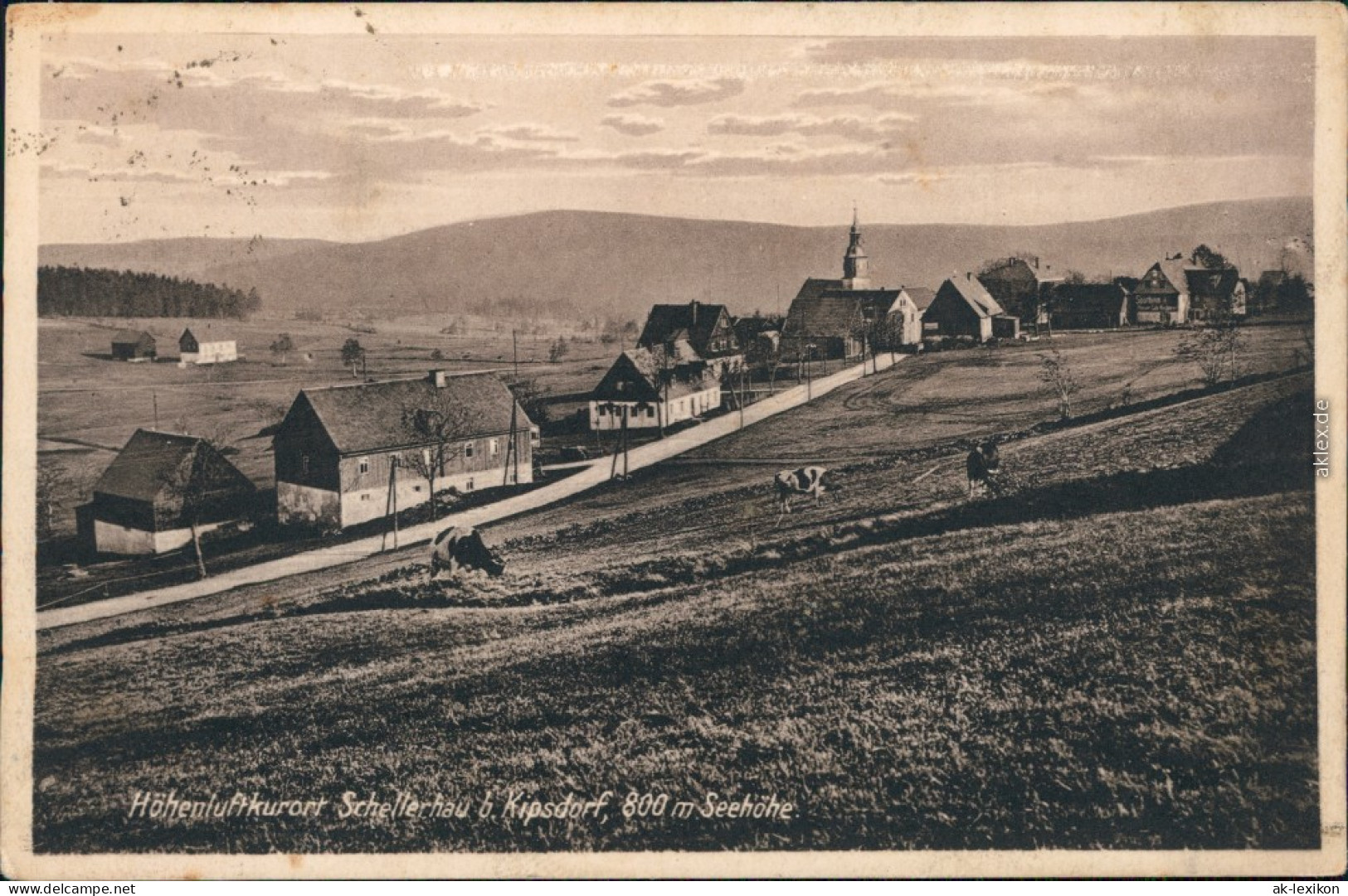 Ansichtskarte Schellerhau-Altenberg (Erzgebirge) Panorama-Ansicht 1927 - Schellerhau