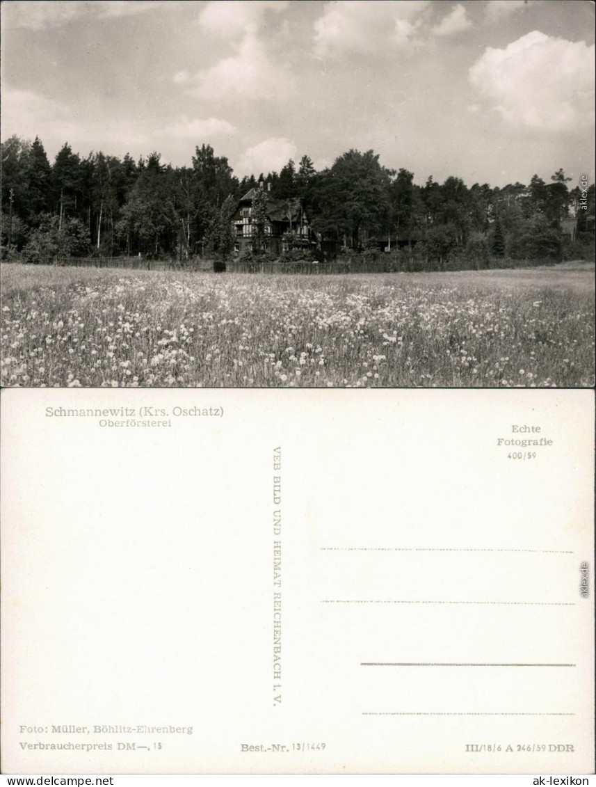 Ansichtskarte Schmannewitz-Dahlen Forsthaus Mit Wiese Im Vordergrund 1959 - Dahlen