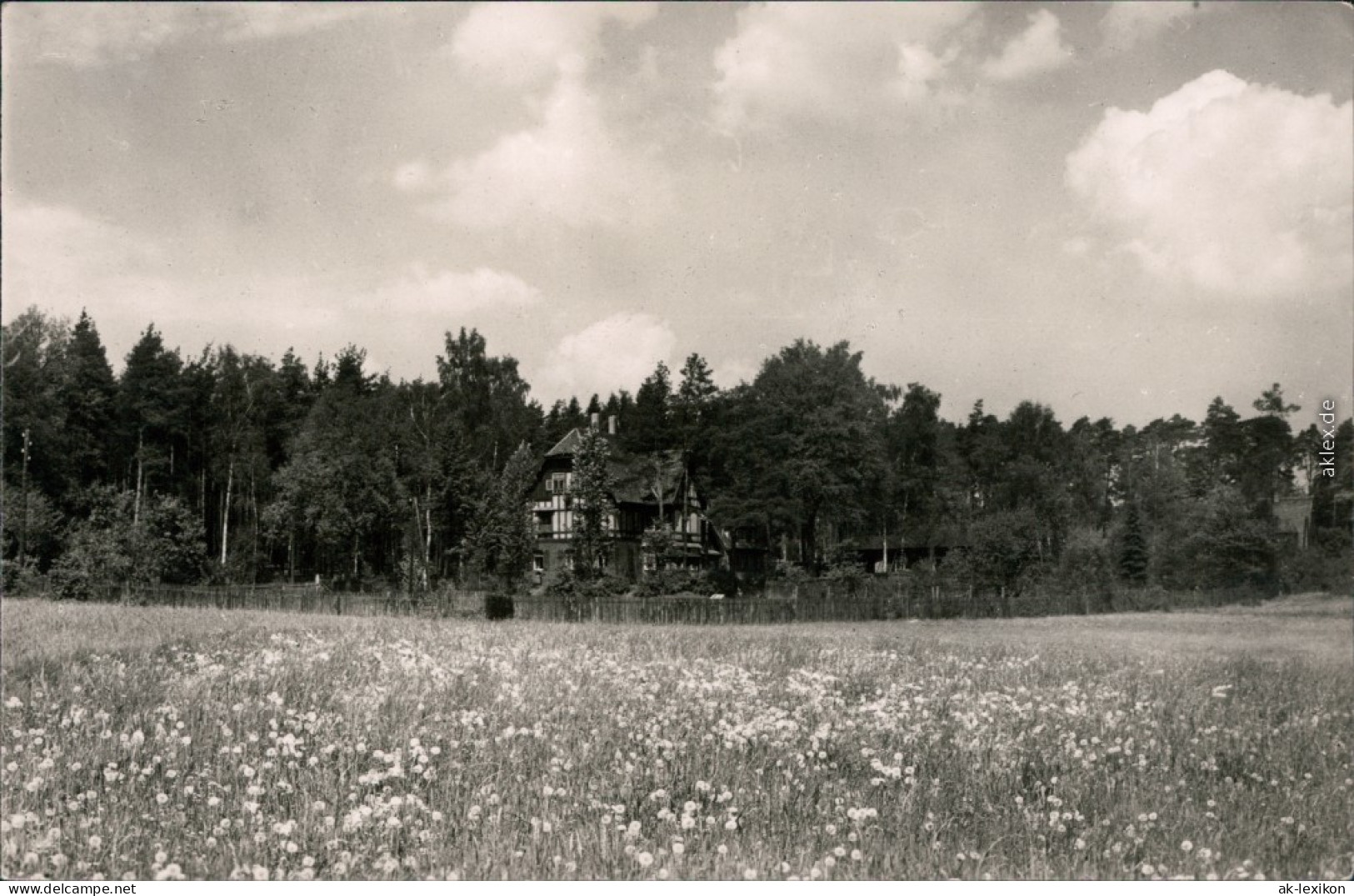 Ansichtskarte Schmannewitz-Dahlen Forsthaus Mit Wiese Im Vordergrund 1959 - Dahlen