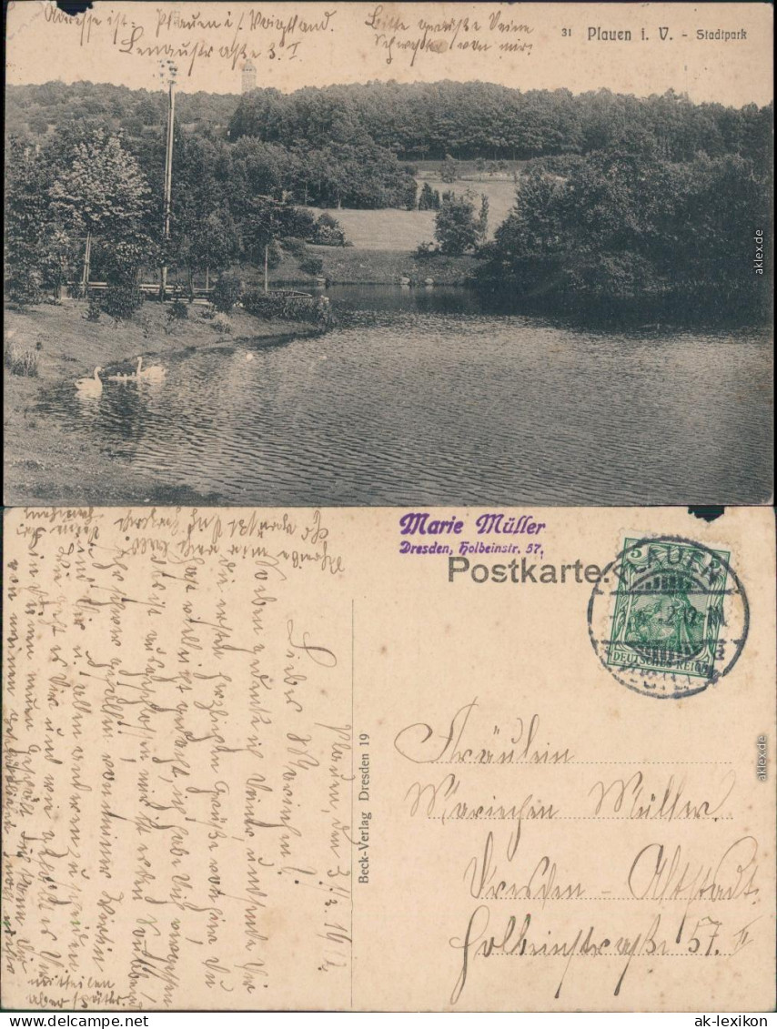 Ansichtskarte Plauen (Vogtland) Partie Im Stadtpark 1912  - Plauen