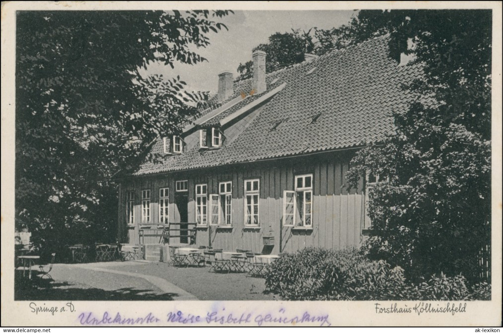 Ansichtskarte Köllnischfeld-Springe Forsthaus Köllnischfeld 1932 - Springe