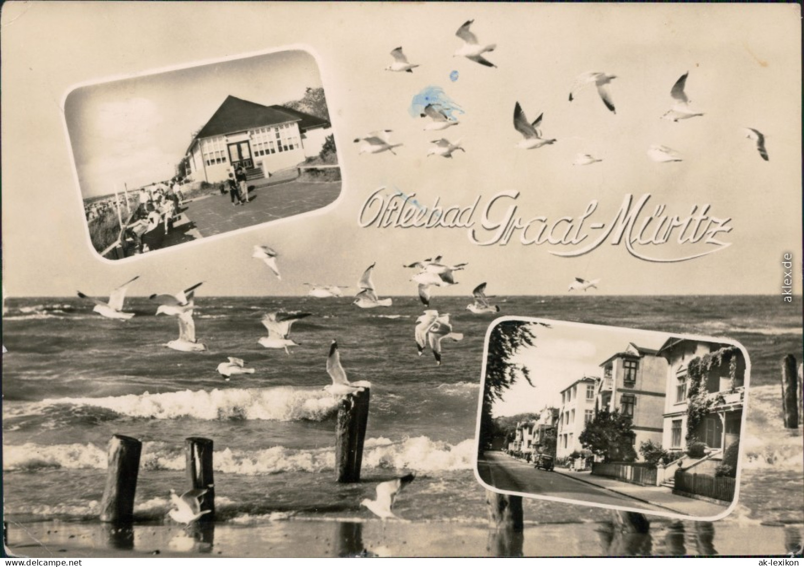 Ansichtskarte Graal-Müritz Strand Mit Vielen Möwen 1968 - Graal-Müritz