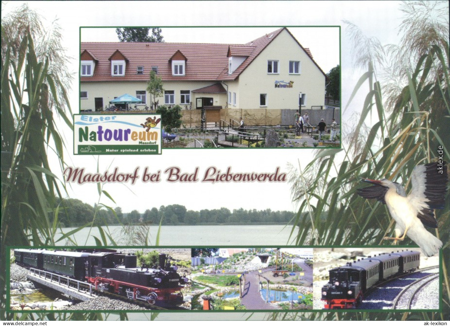 Ansichtskarte Bad Liebenwerda Elster-Natoureum 2007 - Bad Liebenwerda