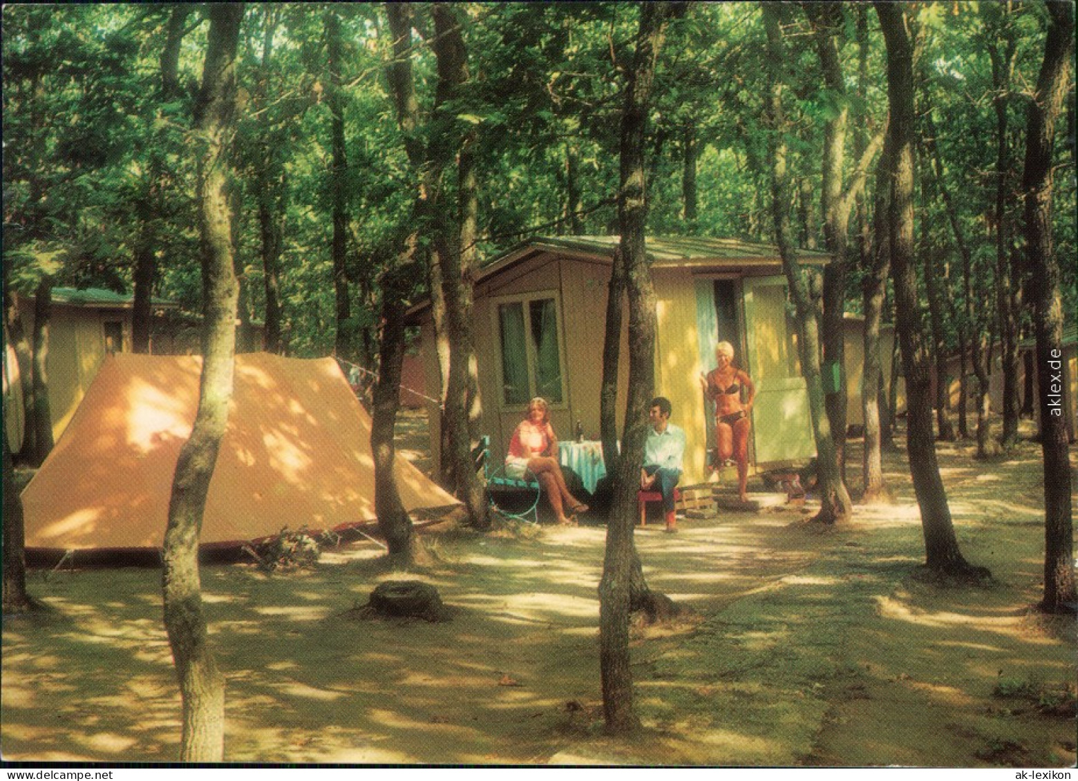 Ansichtskarte Bulgarien (allgemein) Camping Pirin Am Kamtschija-Fluss 1973 - Bulgarie